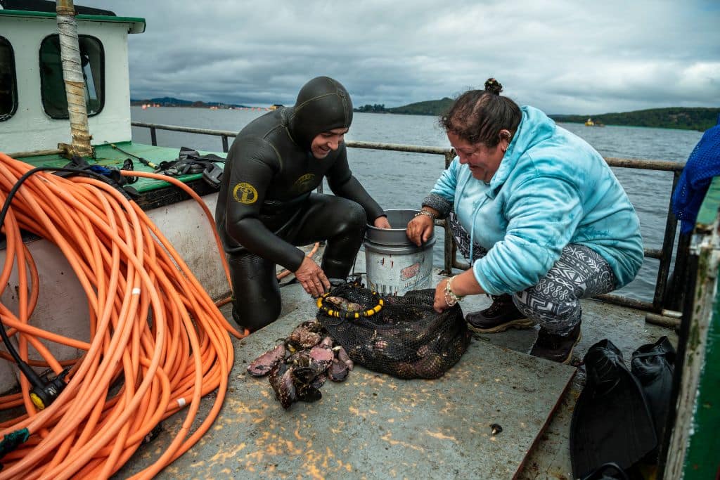 Carmen Díaz Vargas et son mari, Jaime Subiabre, vérifient un filet rempli de oursins, moules et poisson après leur récolte.