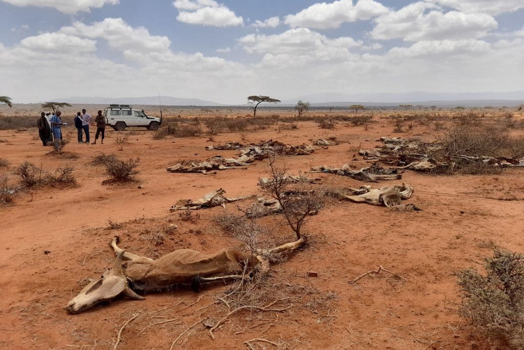 Les activités humaines ont conduit le réchauffement climatique à 1,37 °C en 2025 — étude