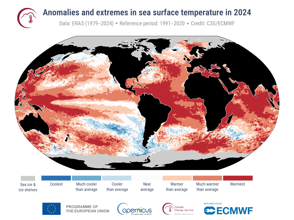Graphique montrant les anomalies et extrêmes de température de surface de la mer en 2024.
