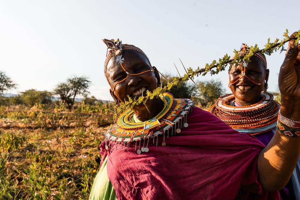 Une Chui Mama dans le comté de Laikipia, au Kenya.