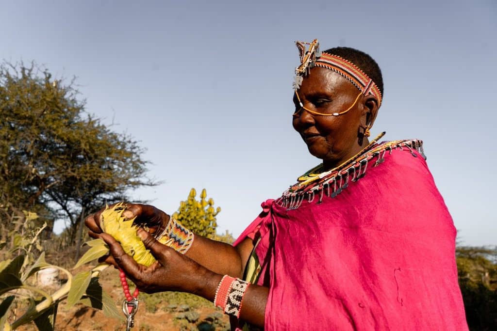 Une Chui Mama au Kenya.