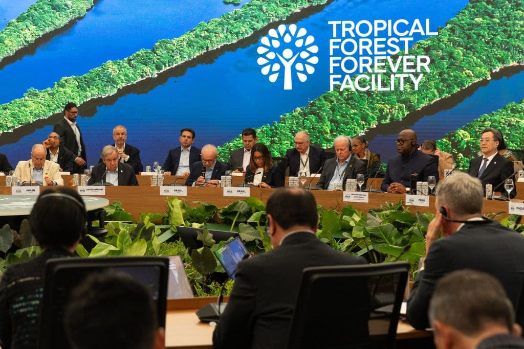 Un nouveau fonds comblera-t-il le vide laissé par l’échec forestier de la COP30 ?