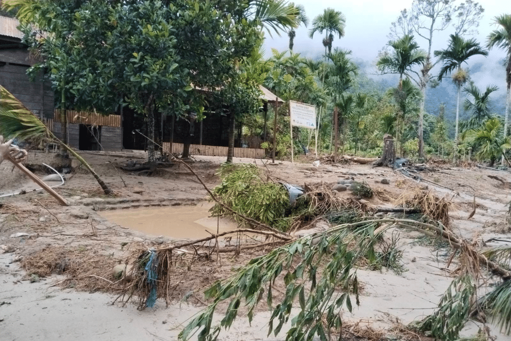 These photos, taken on November 28, show the aftermath of deadly floods in Aceh, an Indonesian province on the northwest tip of Sumatra Island.⁠