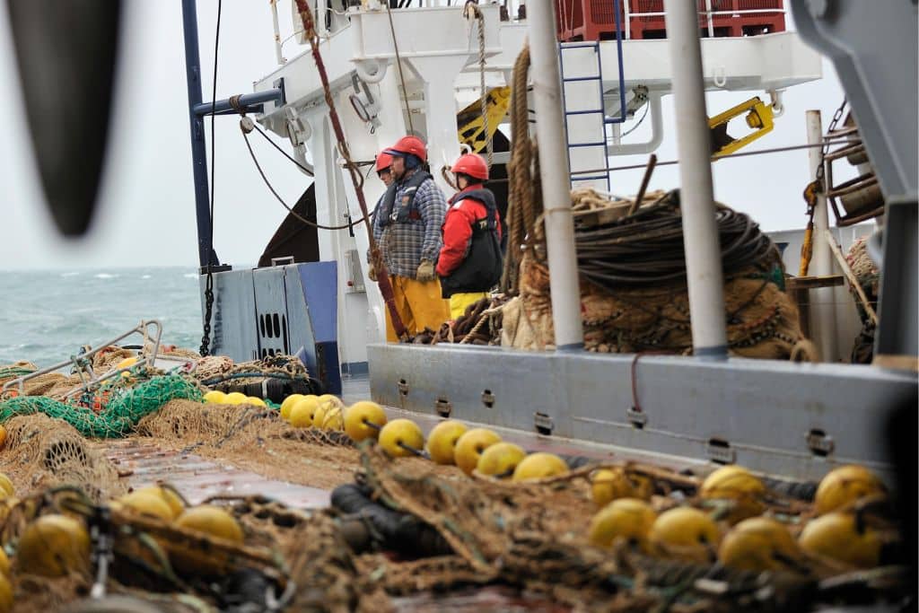 Il est temps que la Nouvelle-Zélande mette fin au chalutage de fond