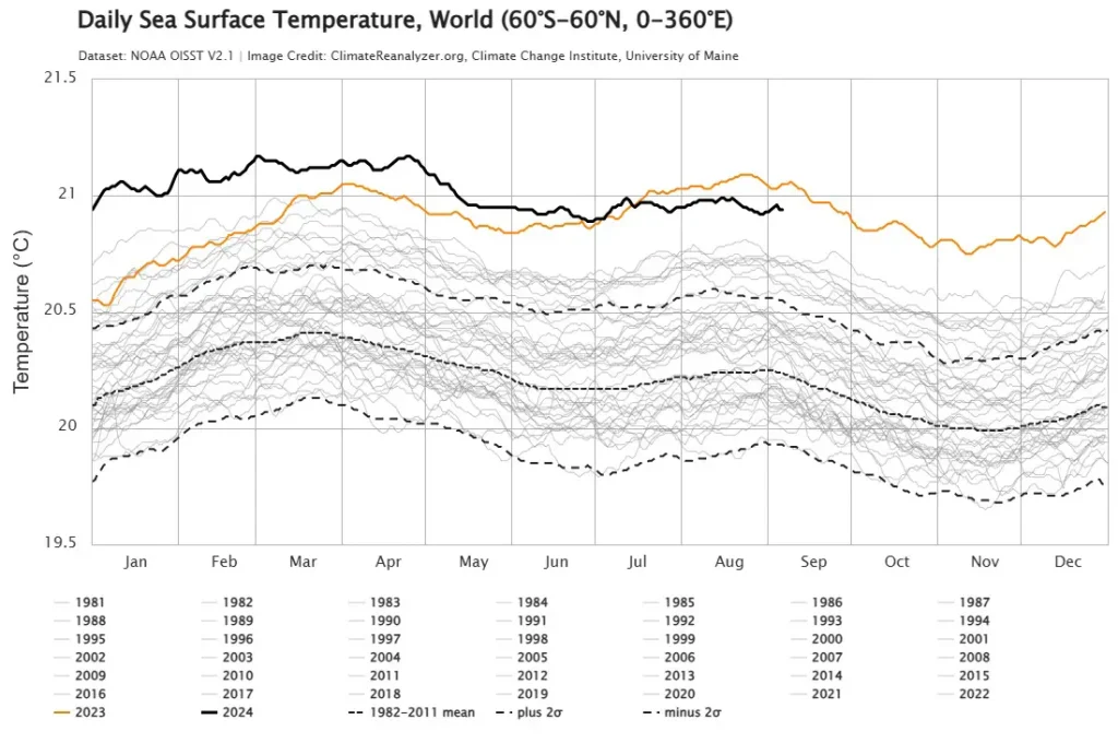 Time series visualization of daily average Sea Surface Temperature.
