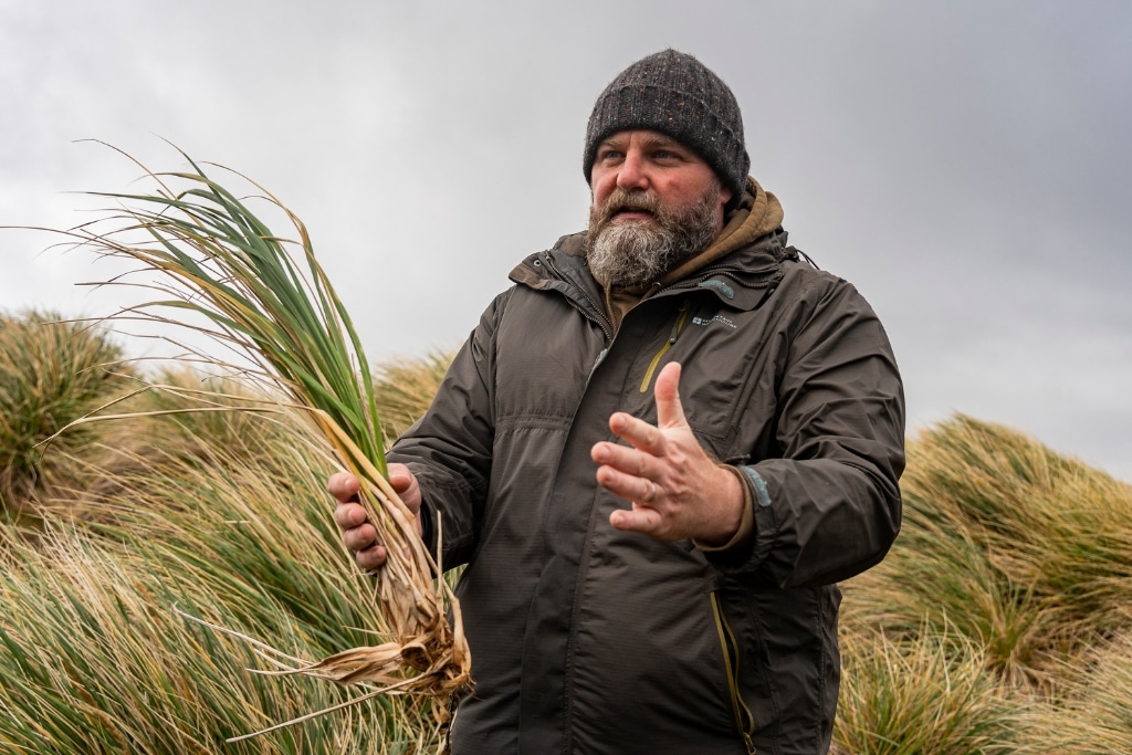 Ross James talks about the importance of tussoc in the Falkland Islands.