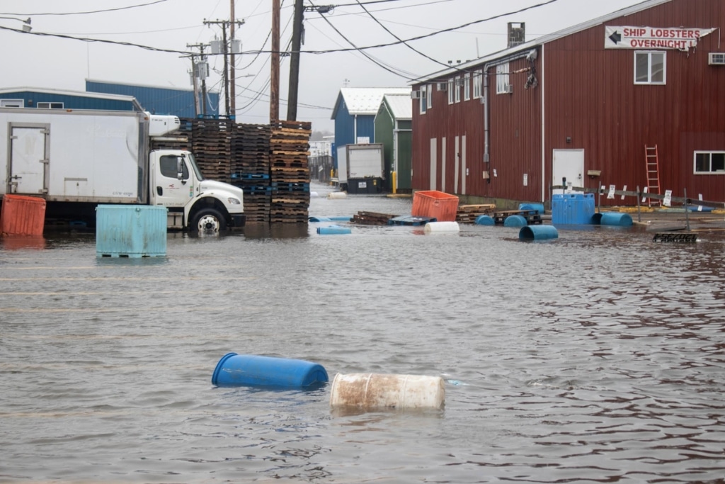 Face au réchauffement des océans, le Maine prépare l’avenir