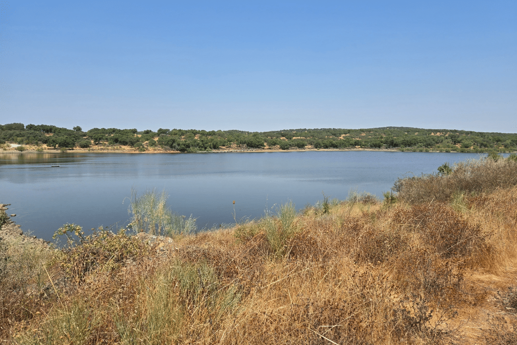 Onsite reservoir provides irrigation for a small percentage of vines Tapada de Coelheiros vineyard in Alentejo, Portugal.