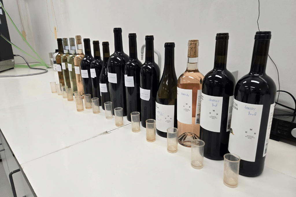 Sustainably-certified wines represent 60% of the Alentejo grape-growing area.