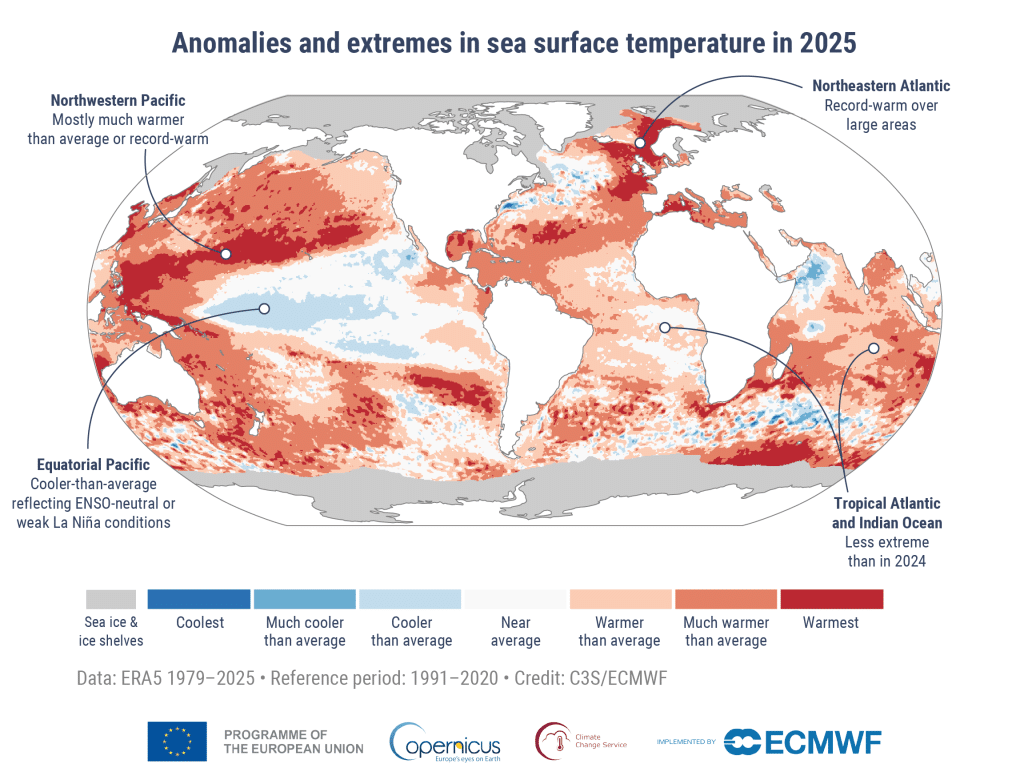 Anomalies and extremes in sea surface temperatures in 2025.
