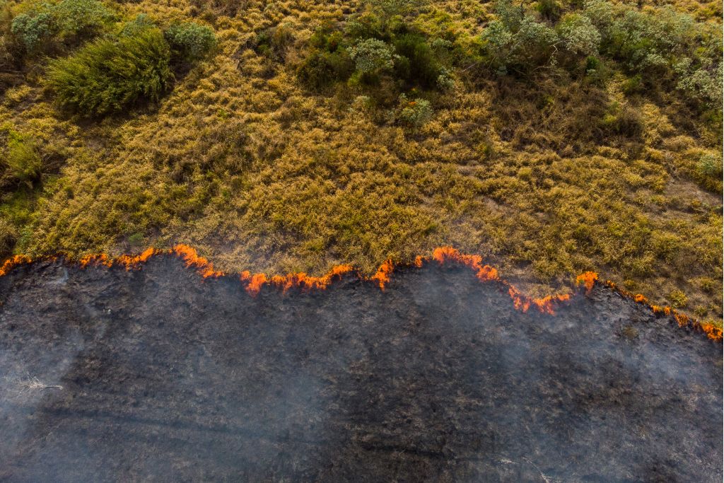 Incendies de janvier en Argentine et au Chili, alimentés par le changement climatique