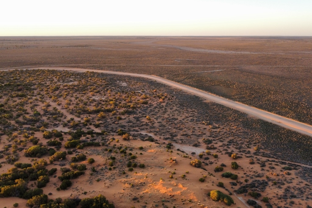 Le changement climatique rend les vagues de chaleur en Australie cinq fois plus probables