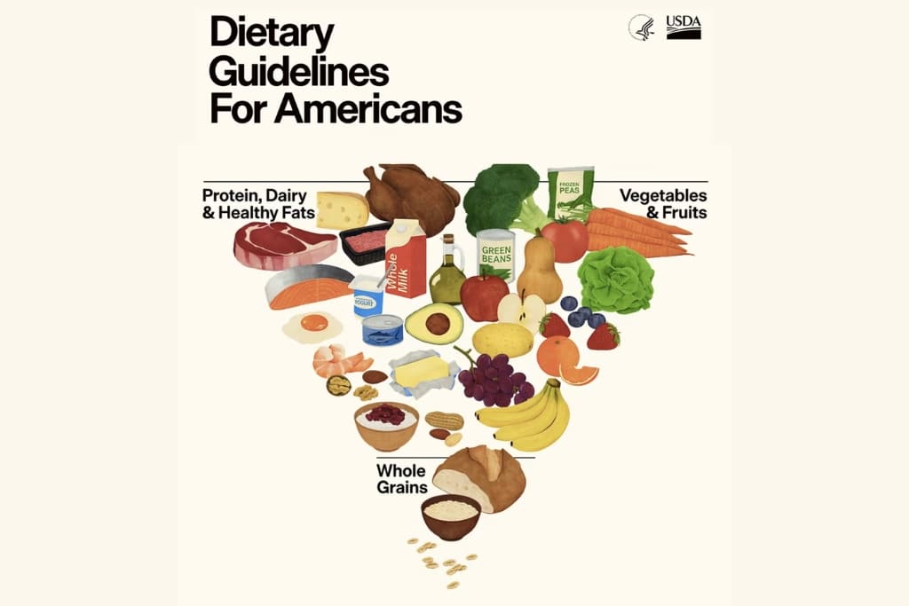 The new inverted food pyramid announced by the Department of Health and Human Services in January 2026.
