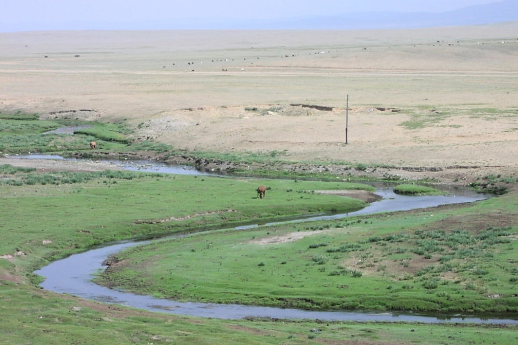 La disparition silencieuse : la Mongolie lutte pour sauver la steppe