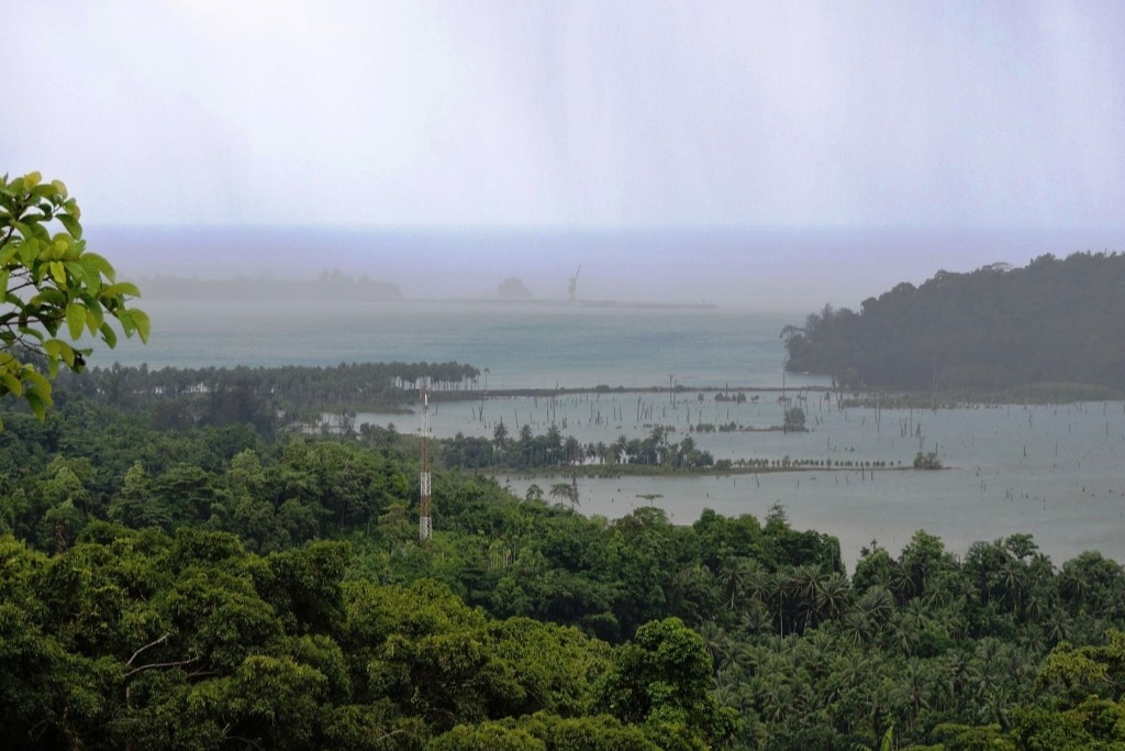 Great Nicobar Biosphere Reserve, Great Nicobar Island, India.