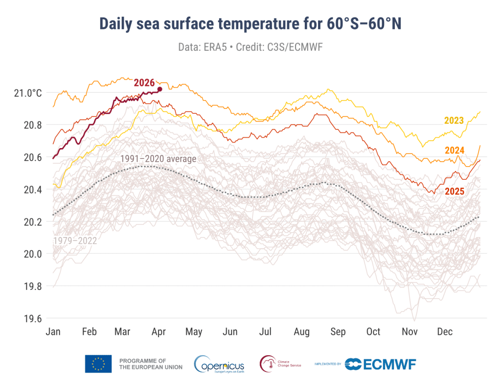 Daily sea surface temperature (°C) averaged over the extra-polar global ocean (60°S–60°N) for 2023 (yellow), 2024 (orange), 2025 (red) and 2026 (dark red).