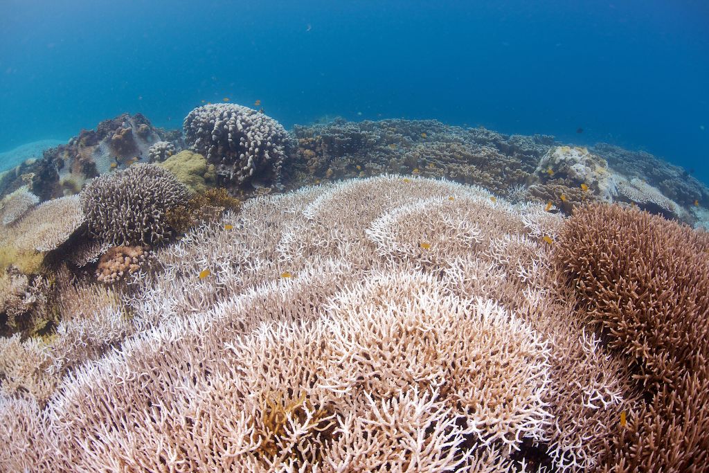Des températures océaniques presque records en mars ouvrent la voie à El Niño