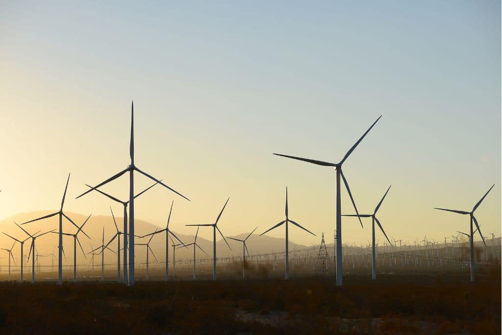 La croissance des énergies renouvelables aux États‑Unis défie les attaques de Trump