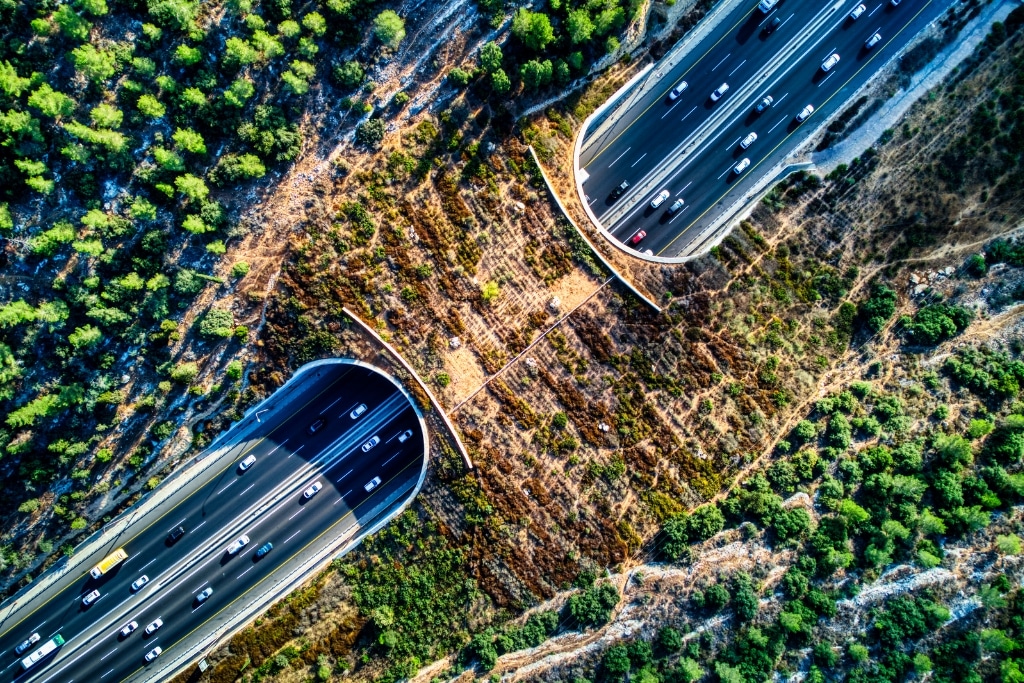 Le cas des passages fauniques supplémentaires
