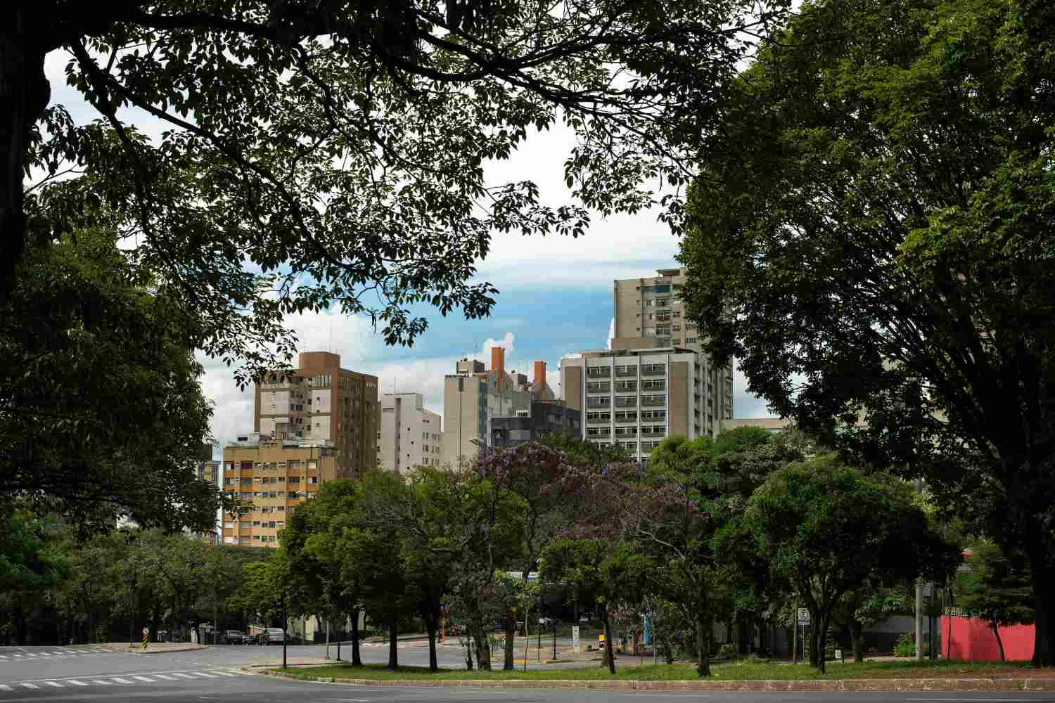 Arbres en ville face à la chaleur extrême : le vert urbain réduit l’îlot de chaleur plus que prévu