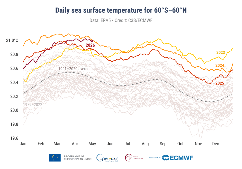 Daily sea surface temperature (°C) averaged over the extra–polar global ocean (60°S–60°N) for 2023 (yellow), 2024 (orange), 2025 (red) and 2026 (dark red).