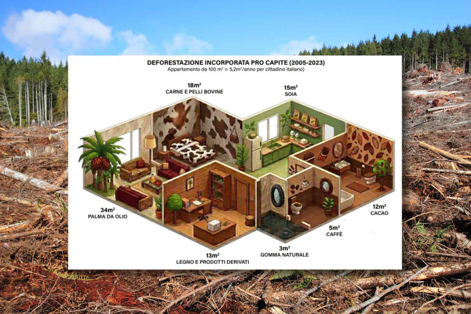 La déforestation se cache dans nos maisons : le rapport qui révèle le coût environnemental invisible du Made in Italy