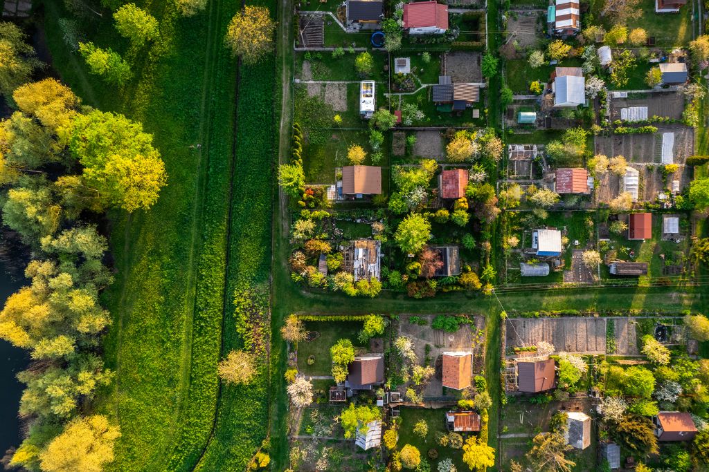 Urban area surrounded by plants and green areas