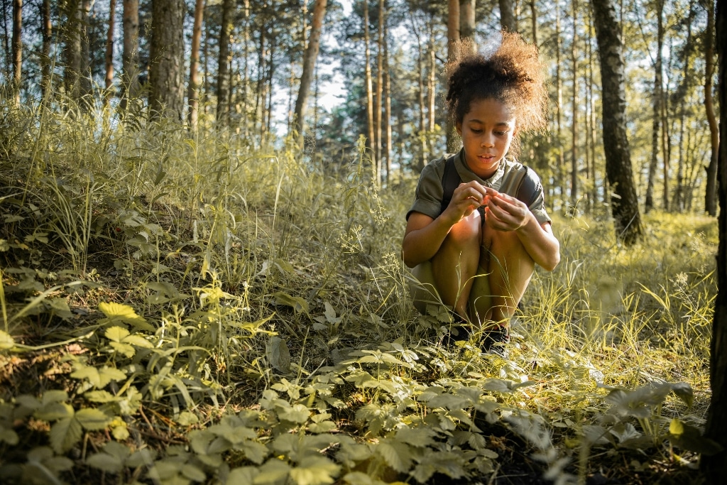 Pourquoi le biomimétisme est notre meilleur allié pour résoudre les problèmes