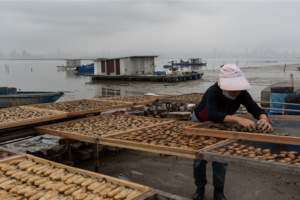 Lau Fau Shan is most famous for its air-dried oysters, especially the semi-dried “golden oysters”, prepared on racks along the shores of Deep Bay.