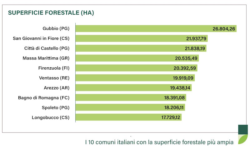 Superficie forestale 