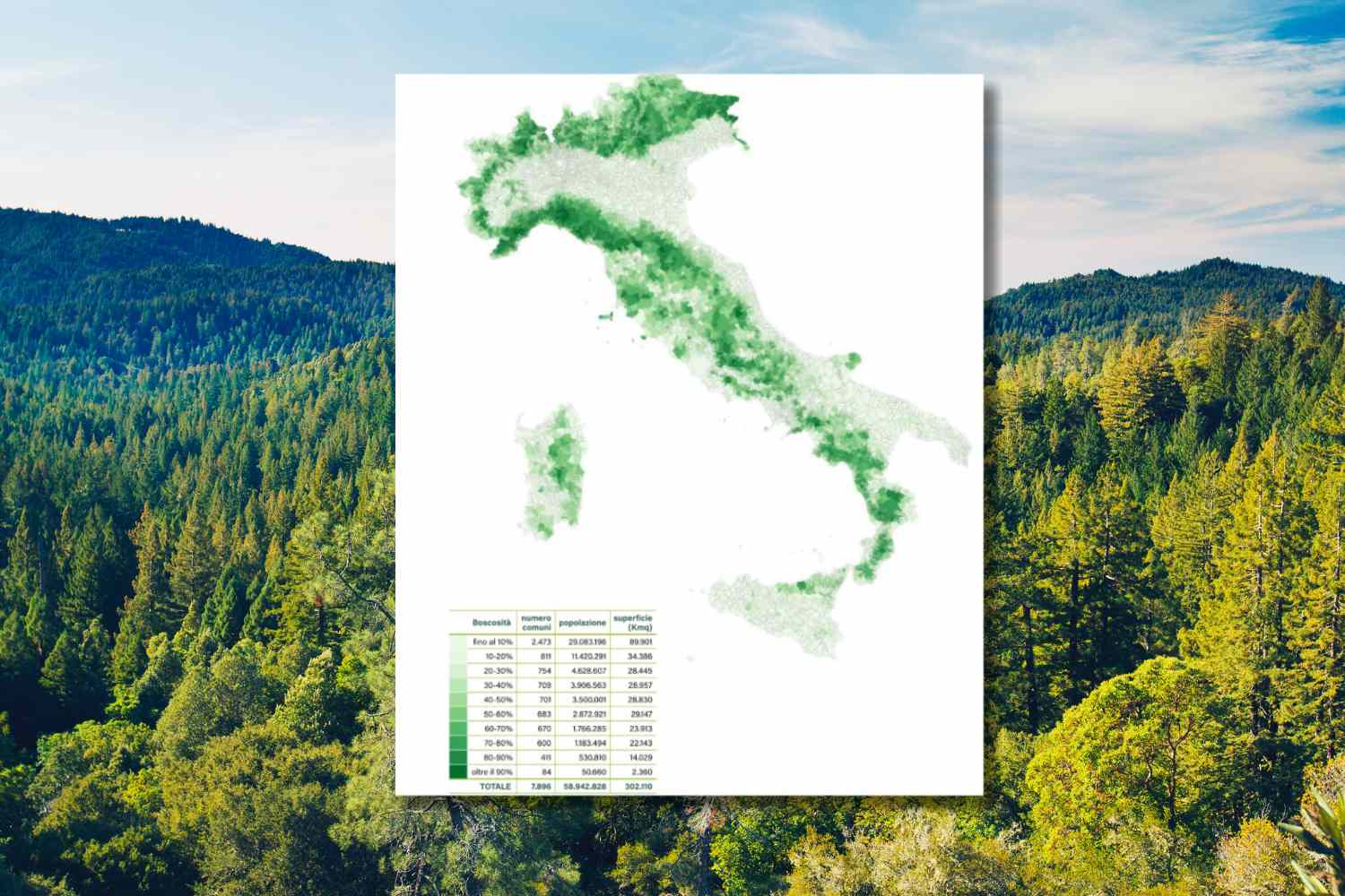 L’Italie est officiellement un pays forestier : les forêts dépassent les terres agricoles, voici la carte des zones les plus vertes