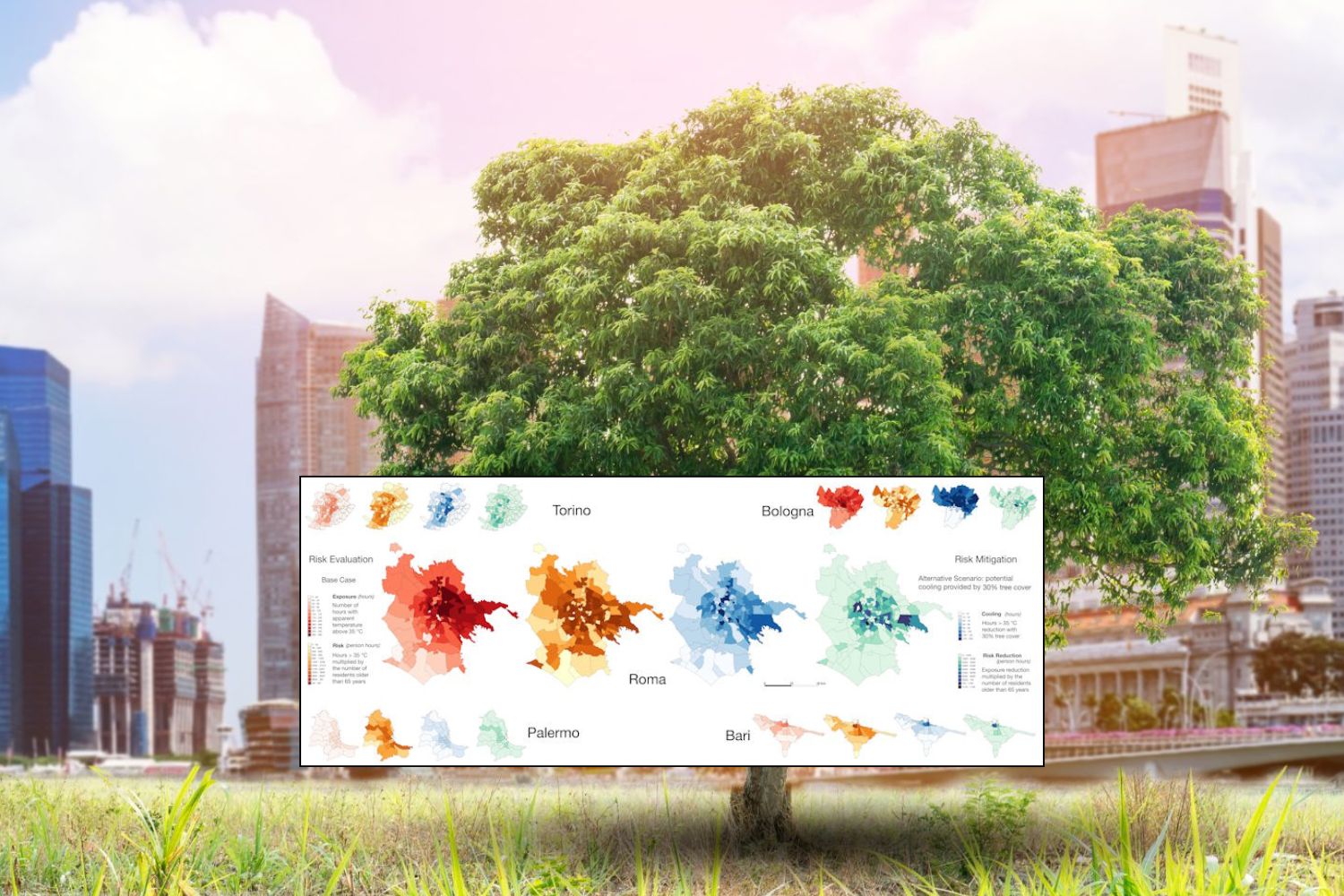 Pourquoi les villes italiennes devraient viser au moins 30 % de couverture arborée