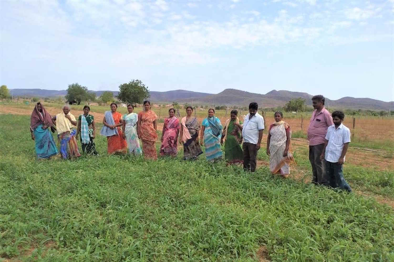 Adieu aux pesticides : près de 2 millions d’agriculteurs indiens remportent le prix environnemental le plus prestigieux dédié à l’alimentation