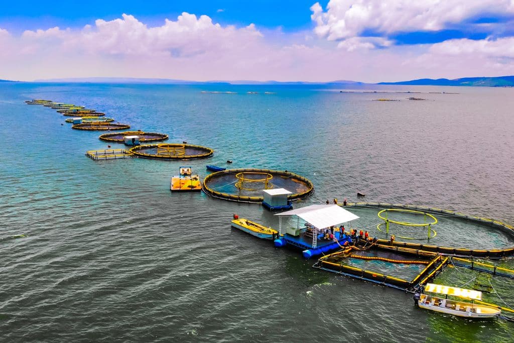 Comment financer une économie océanique durable ?