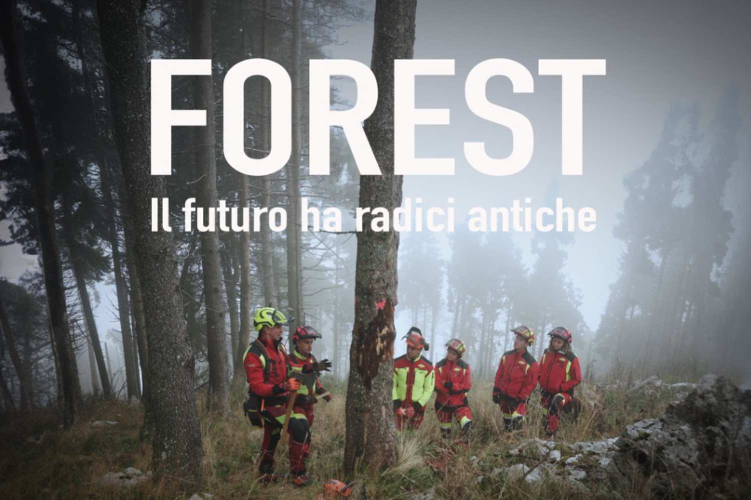 Forêt – L’avenir a des racines anciennes: le puissant documentaire qui révèle les secrets du travail forestier et la renaissance des forêts après Vaia