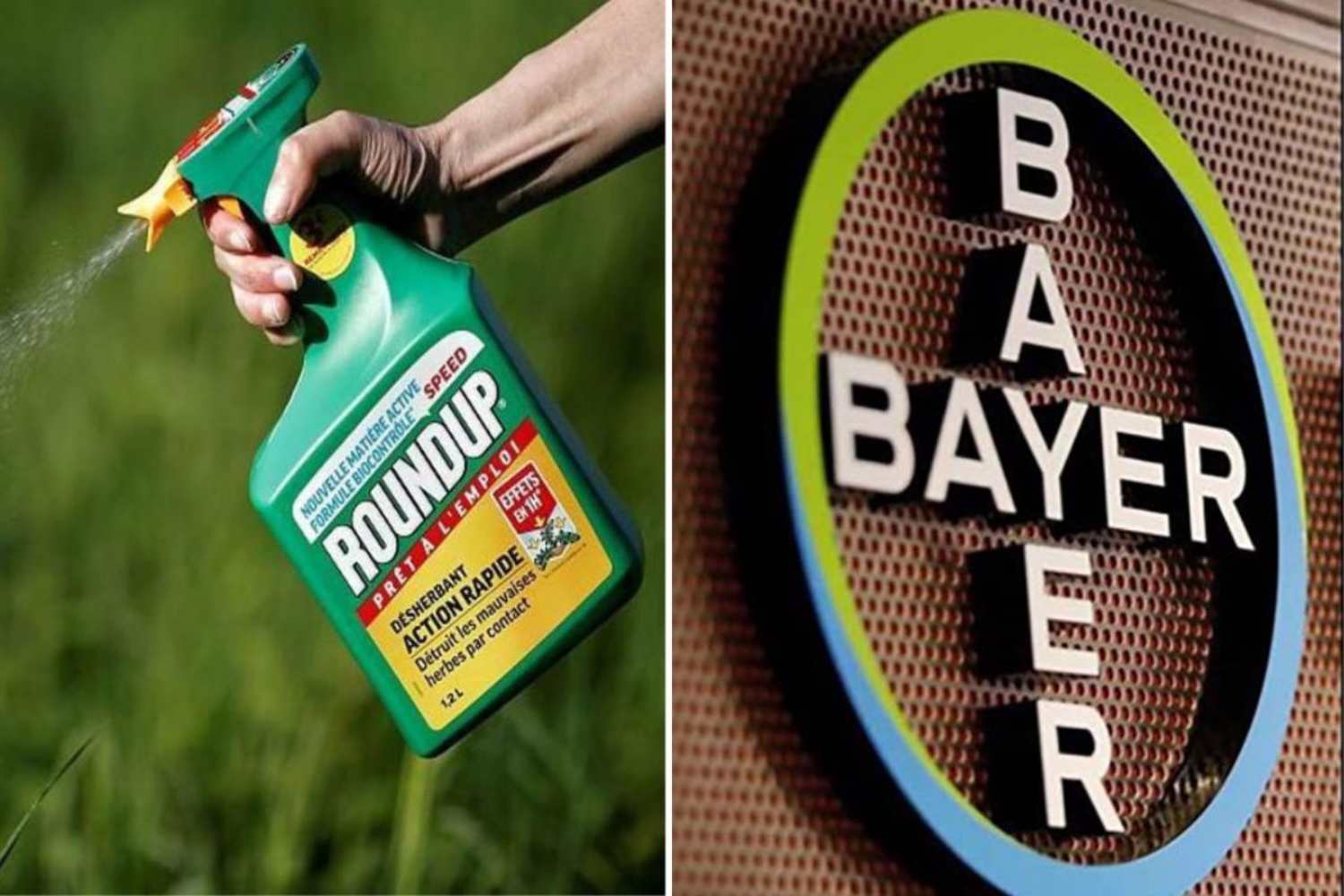 Glyphosate : la Cour suprême donne raison à Bayer et bloque les demandes d’indemnisation liées au RoundUp