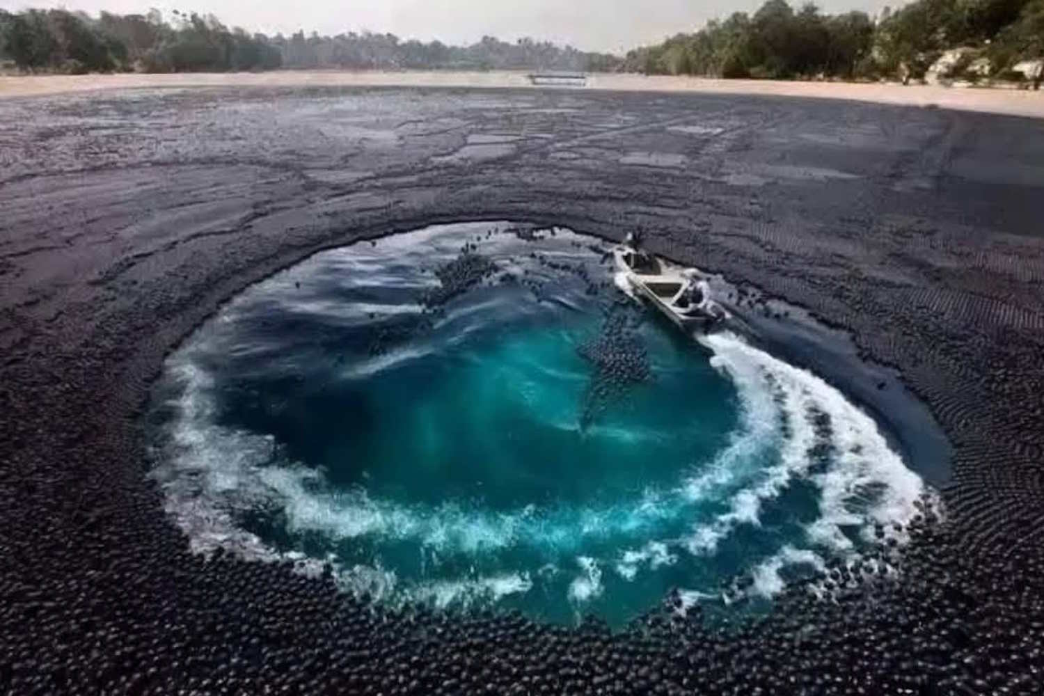 Le jour où 96 millions de billes noires ont été jetées dans l’eau : l’expérience anti-sécheresse de Los Angeles
