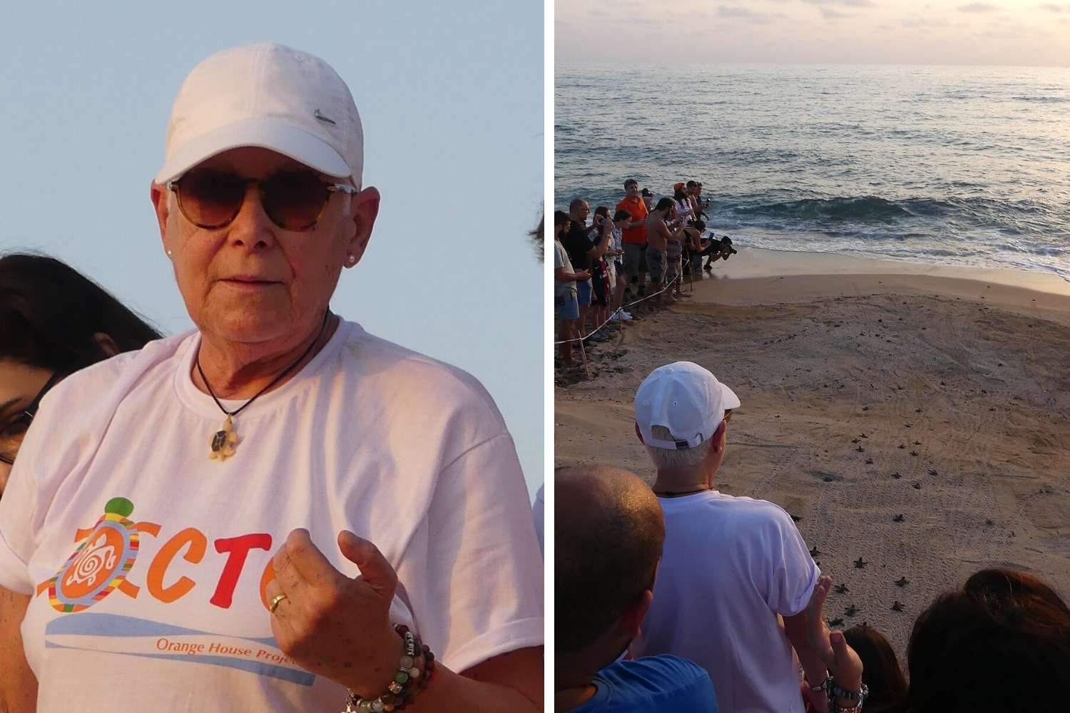 Le monde rend hommage à Mona Khalil, gardienne des tortues marines, décédée lors d’un raid israélien au Liban