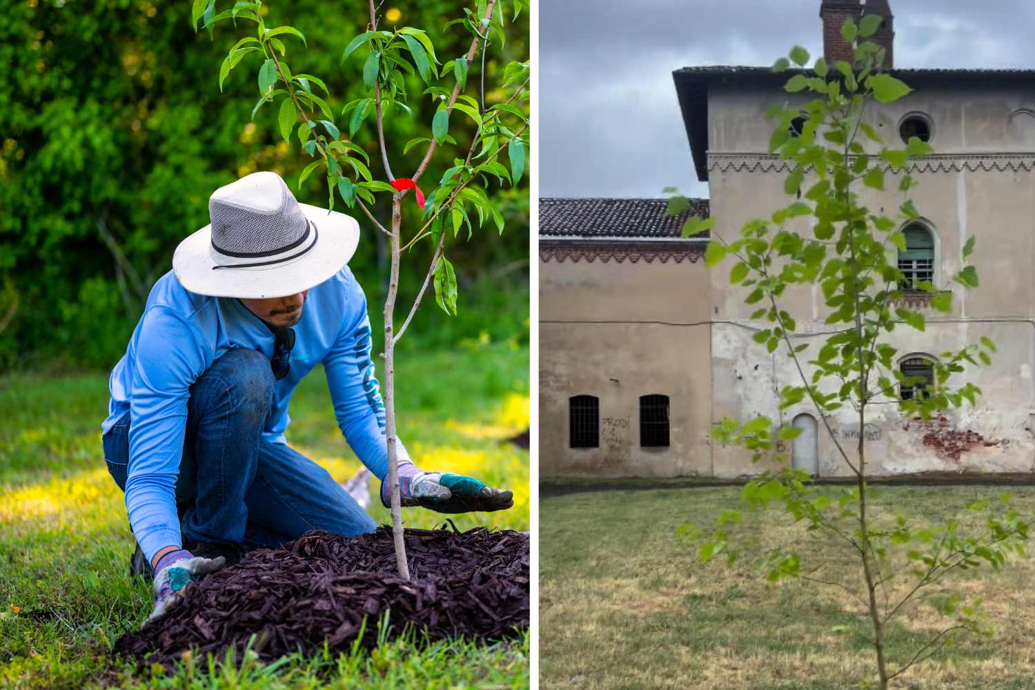 Piantaman, le super-héros masqué qui transforme les jardinières et les ronds-points désaffectés en potagers publics (en semant fleurs et légumes)
