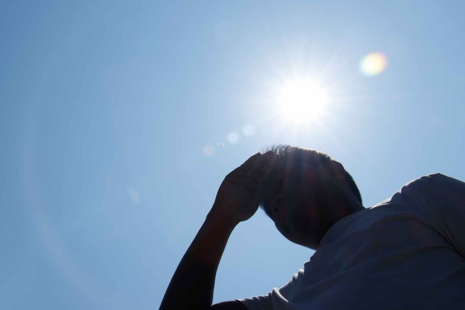 Plus de 1 300 morts en une semaine à cause de la chaleur extrême : la crise climatique fait payer l'Europe