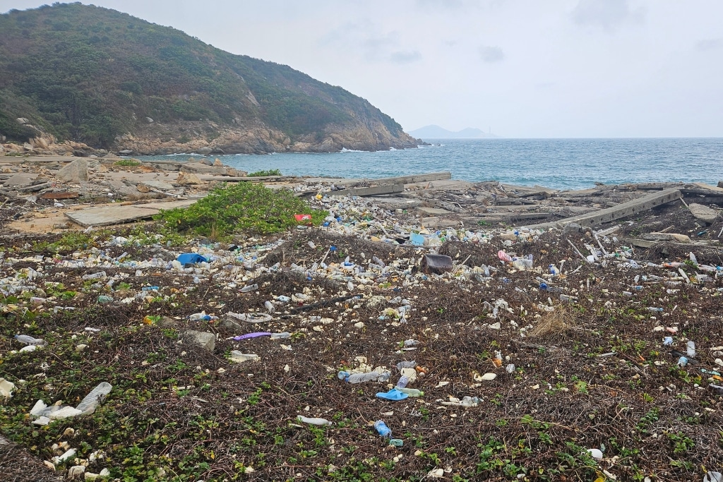 Plastic pollution on Tai A Chau, or South Soko Island, in Hong Kong.
