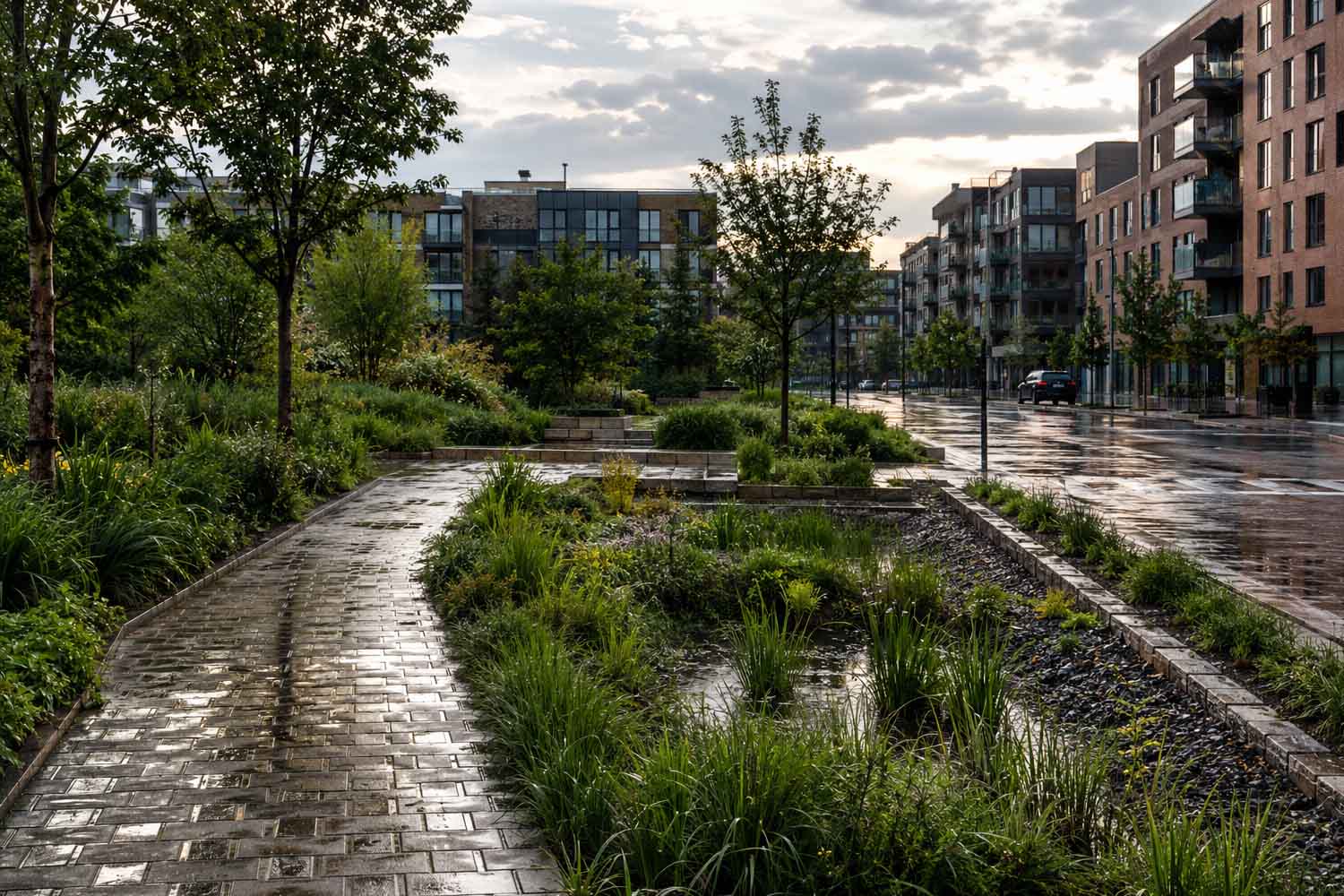 Ville-éponge : le secret pour protéger nos maisons des inondations à partir du jardin d'à côté