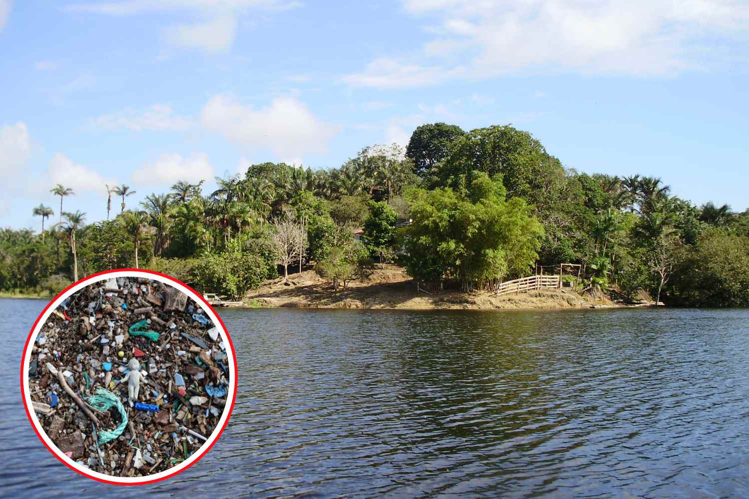 Le plastique atteint l’Amazonie et se retrouve dans les poissons qui nourrissent des millions de personnes