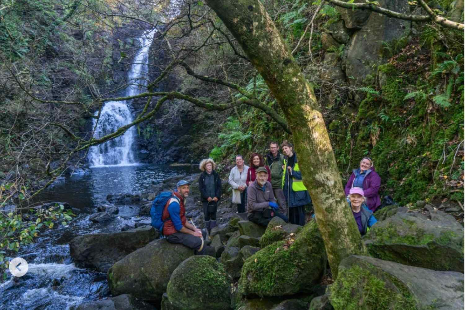 Nous cultivons l’avenir : des bénévoles sauvent la forêt pluviale écossaise en récoltant 11 millions de graines