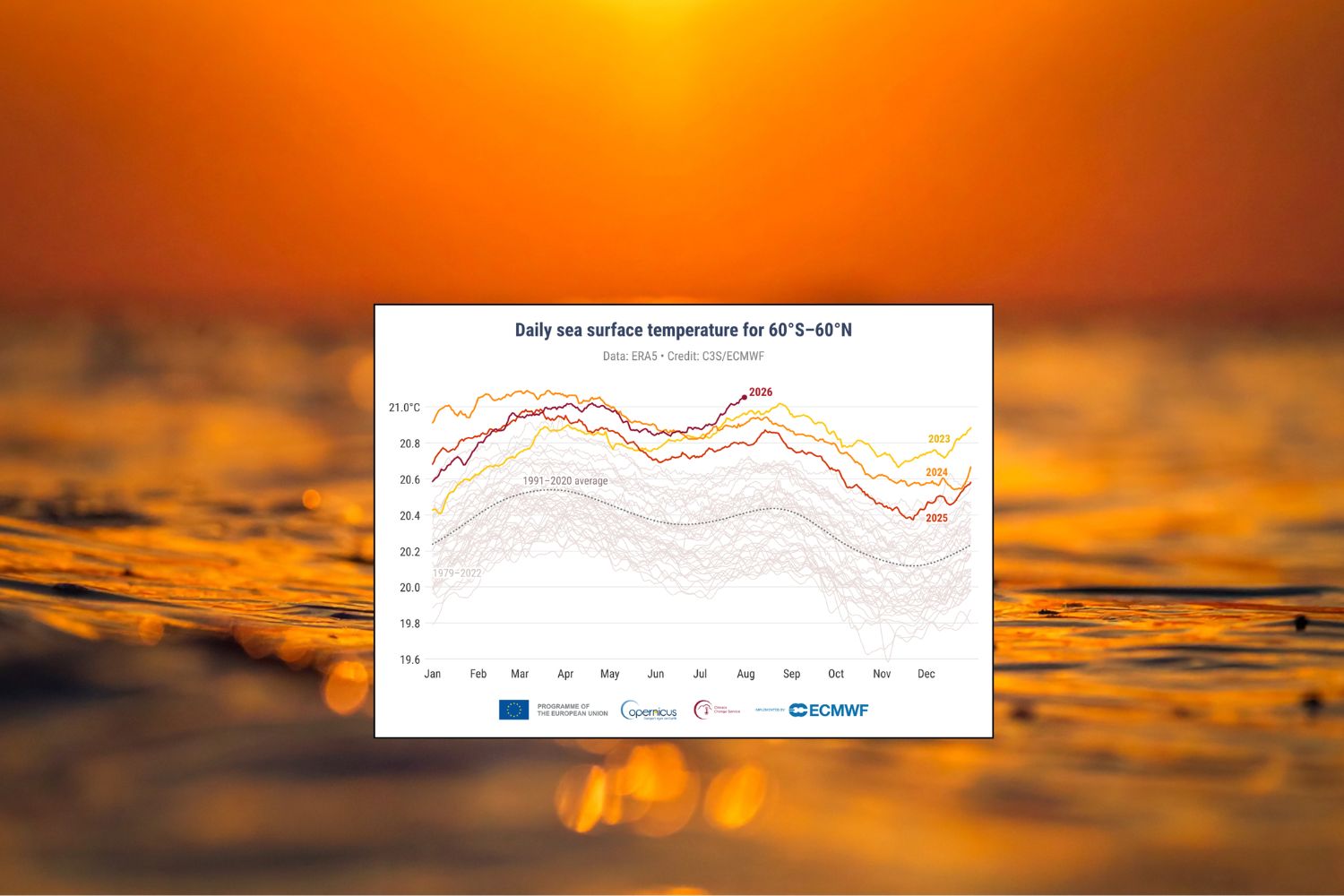 Les océans ont la fièvre : en juillet, la température des mers a atteint des niveaux records jamais vus.