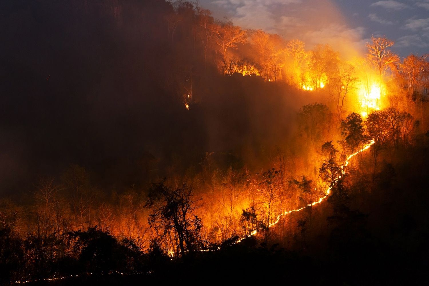Incendies records en France et en Espagne, le rapport WWA révèle que le changement climatique les rend jusqu’à 20 fois plus probables
