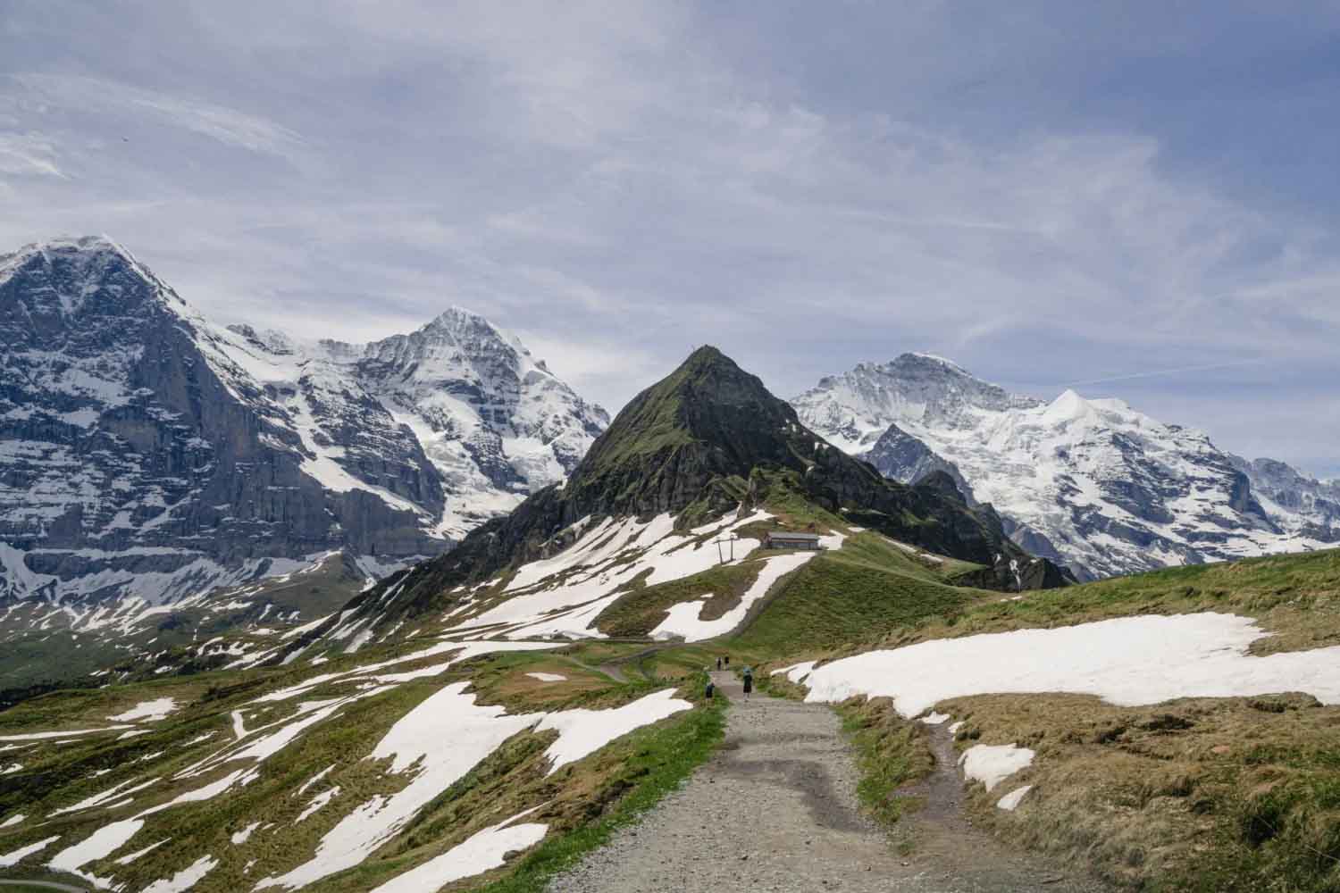 Les scientifiques les appellent les mangeurs de neige : quelques jours de chaleur suffisent à faire fondre la neige des montagnes