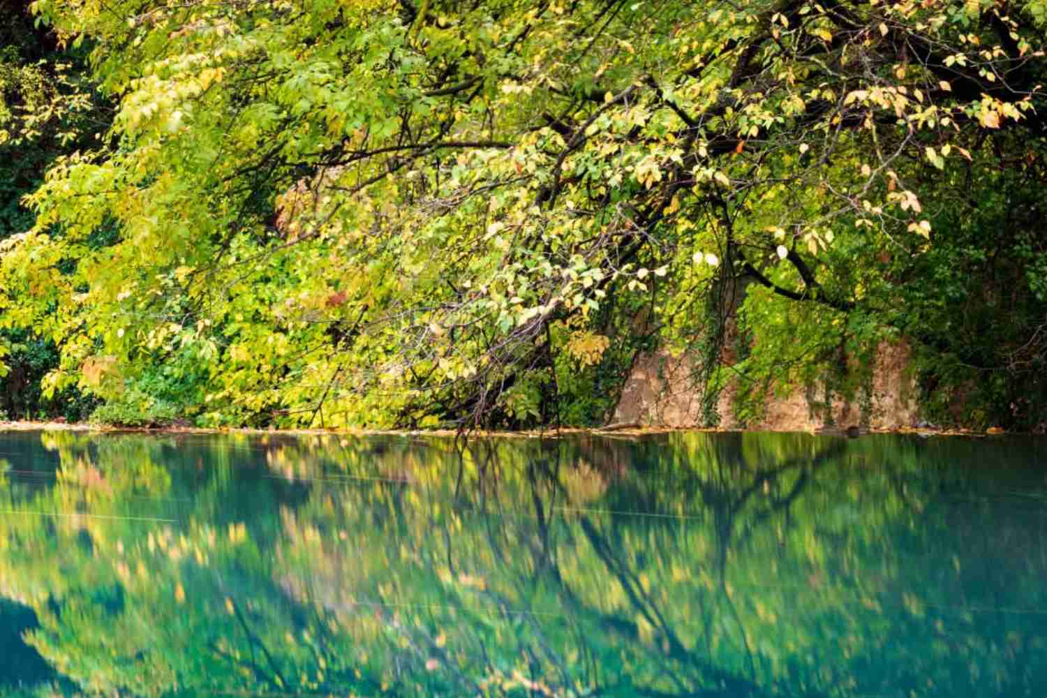Parc Fluvial de l’Elsa : interdiction de baignade et des pique-niques pour protéger l’écosystème contre l’afflux des touristes