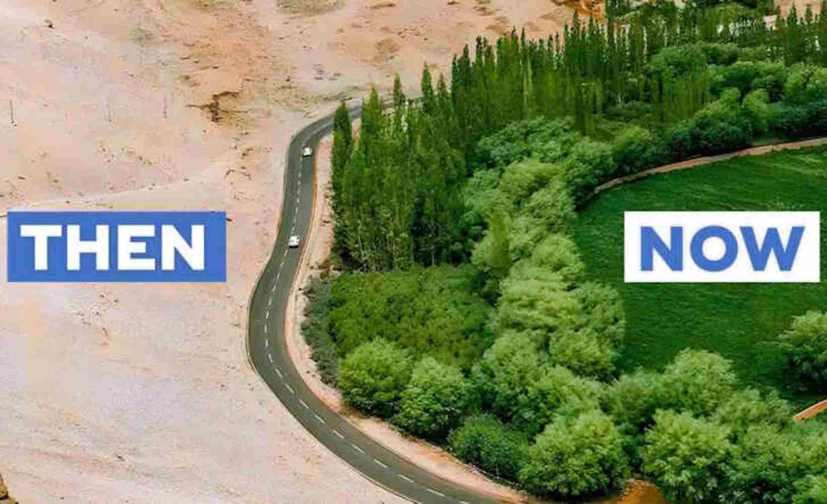 La Grande Muraille Verte : les effets de la gigantesque reforestation chinoise commencent à se faire sentir et surprennent même le cycle de l’eau