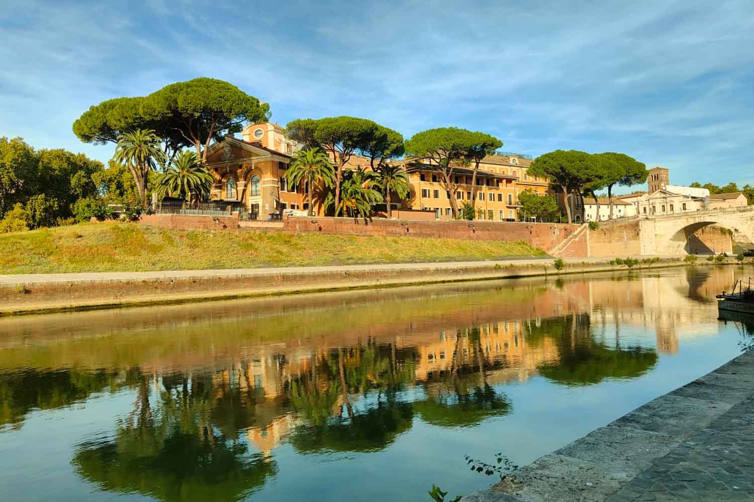 Combien d'espèces vivent réellement le long du Tibre ? À Rome, habitants et experts tentent de les recenser